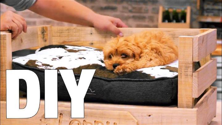Make Your Own Pallet Dog Bed