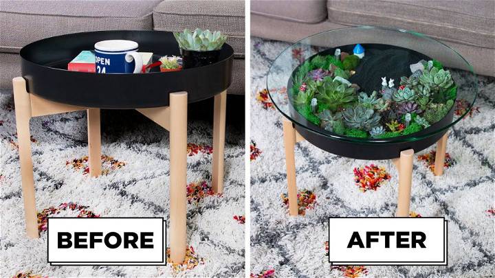 Make Your Own Succulent Table