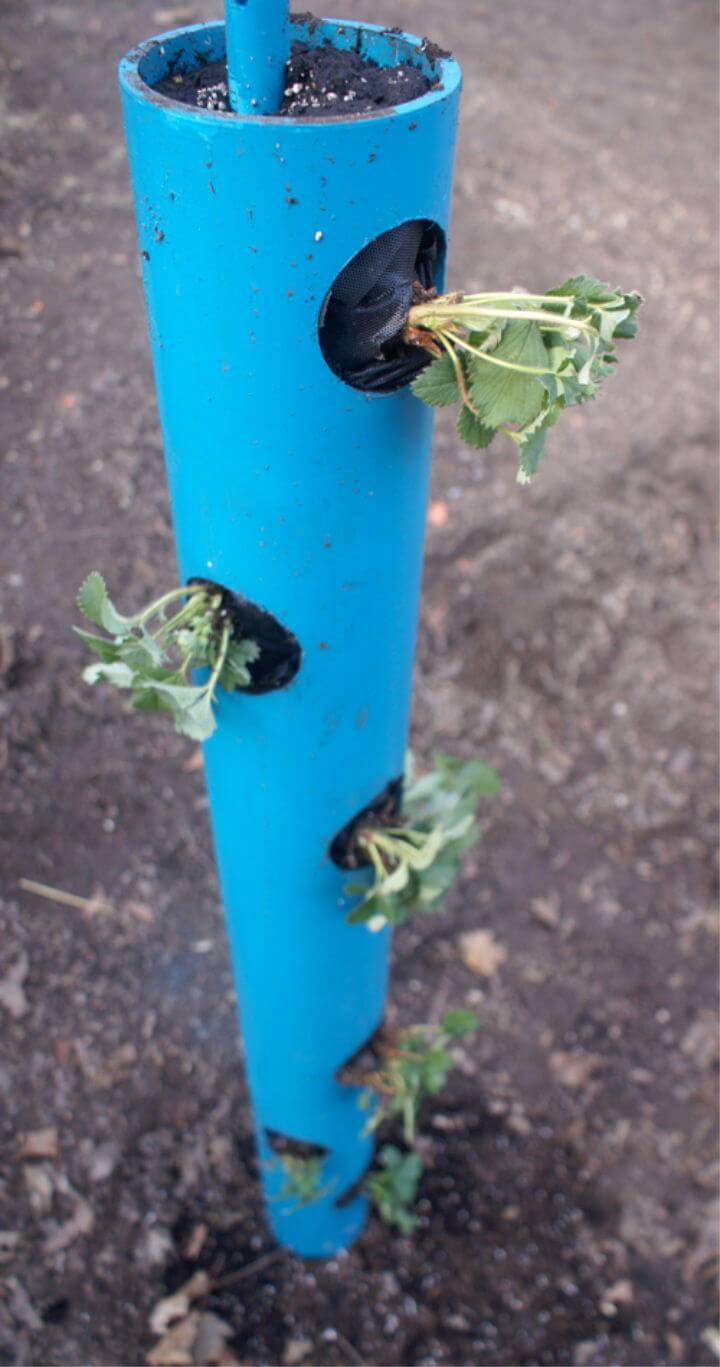 Make Your Own Vertical Planter