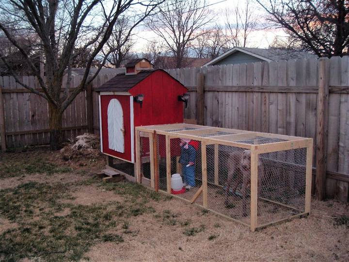Make a Backyard Chicken Coop