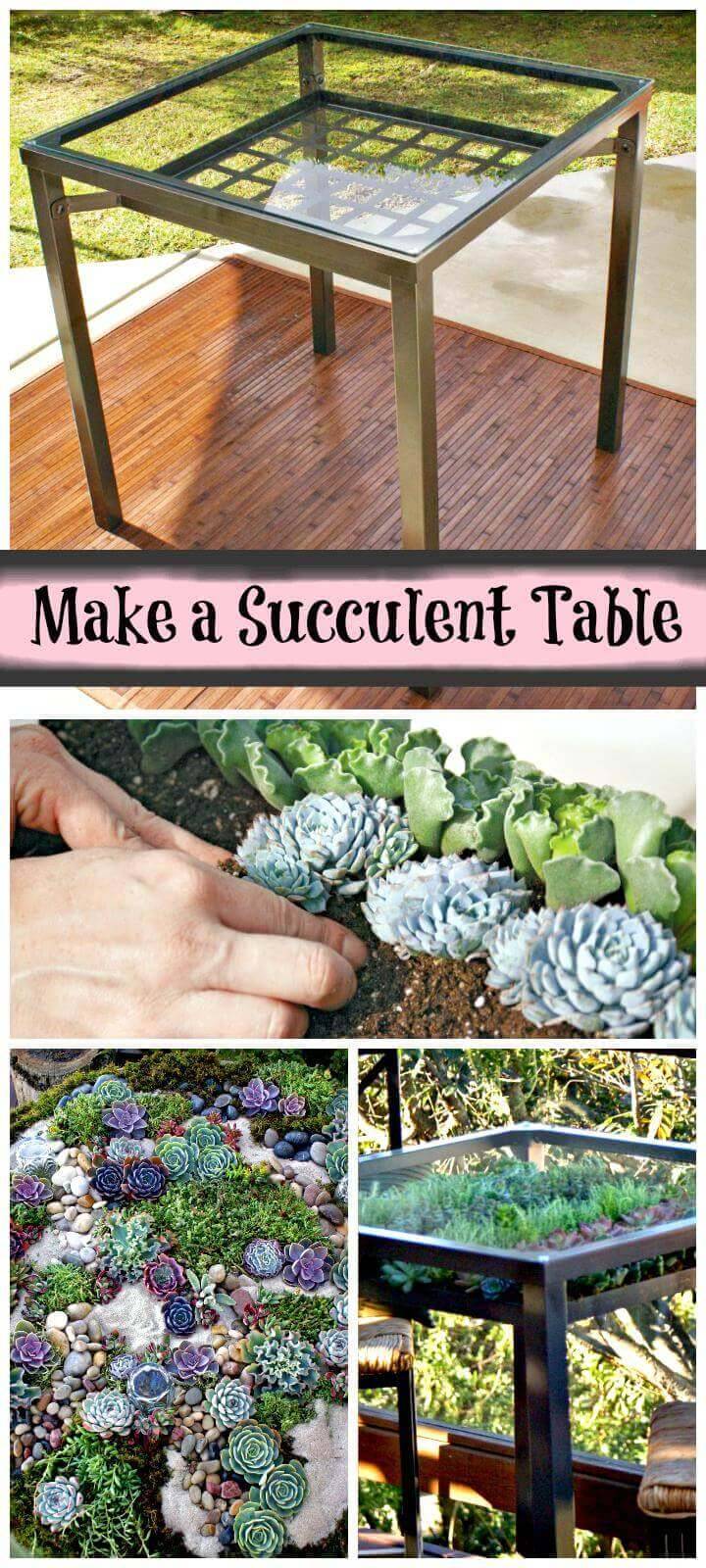 DIY handmade succulent table