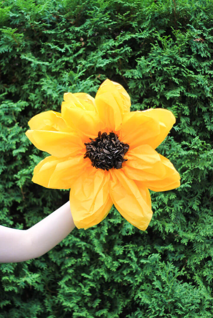 How to Make a Tissue Paper Flower