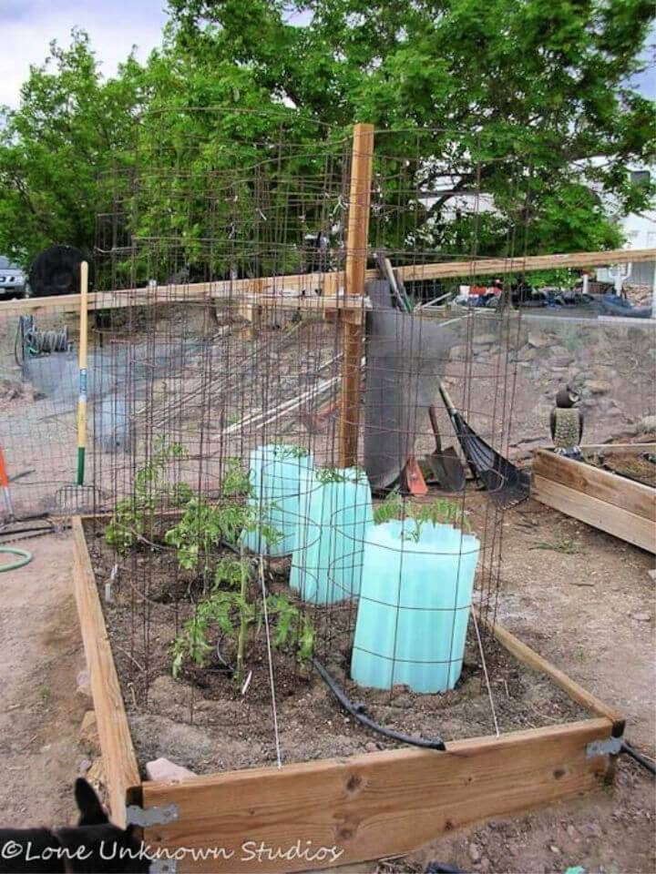 Simple DIY Tomato Cage