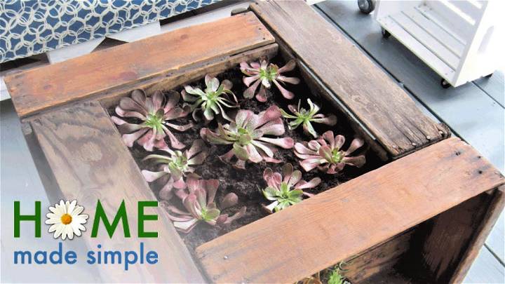 Succulent Planter Coffee Table