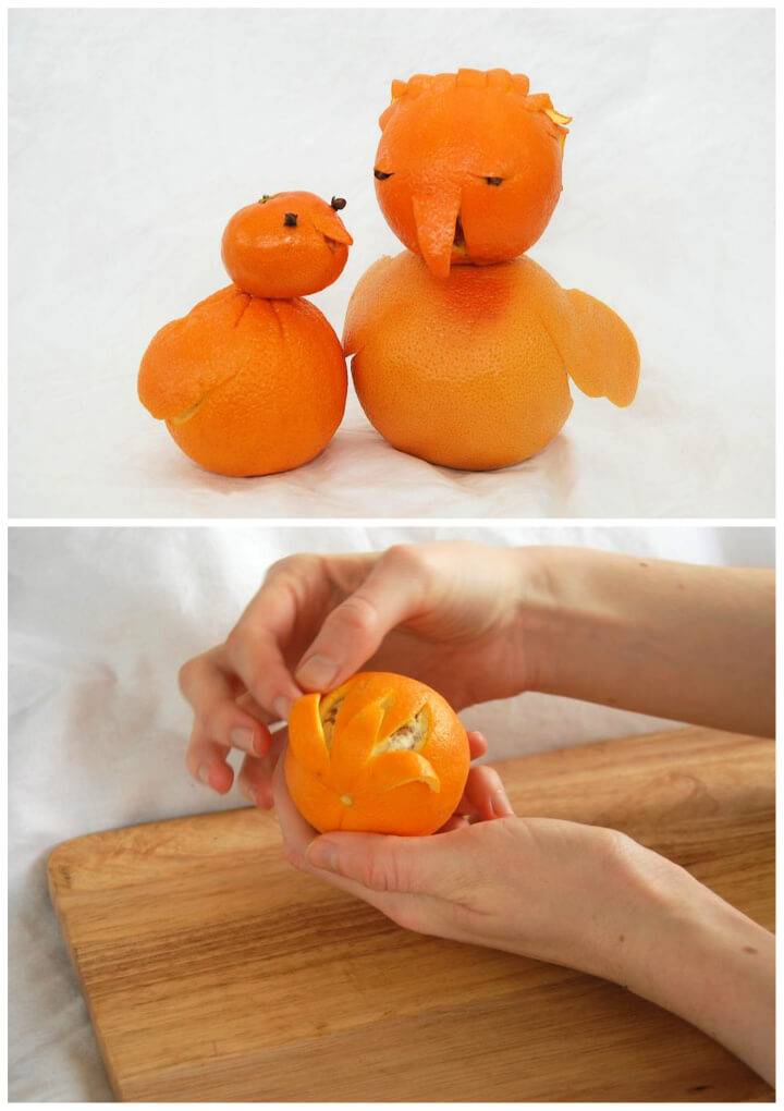 Amazing DIY Citrus Birds