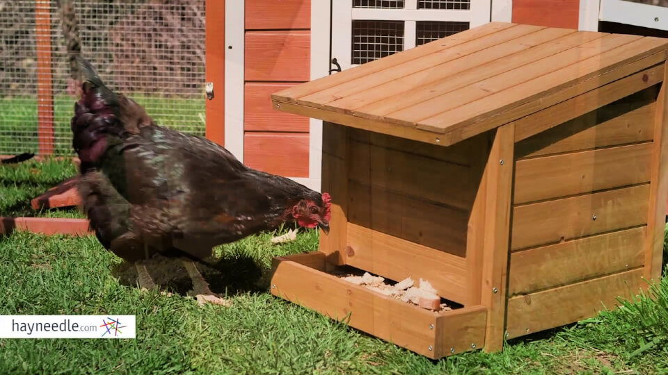  Construye Tu Propio Comedero para Pollos