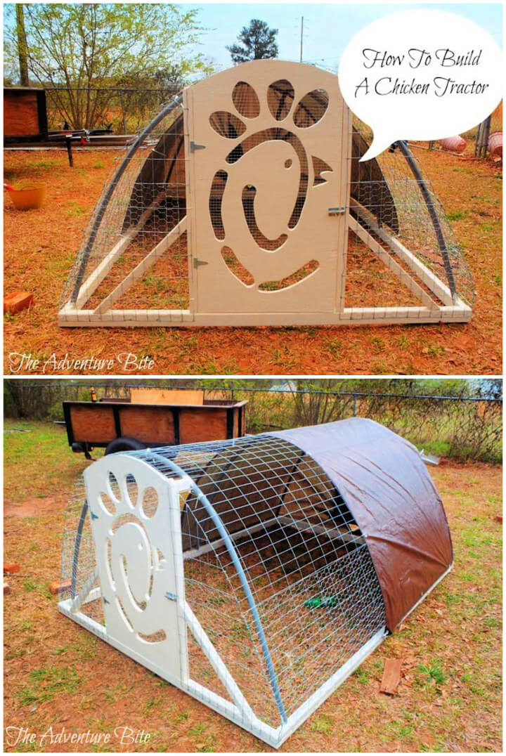 Build a Chicken Tractor