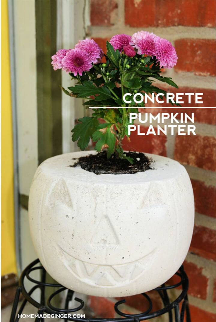 Build a Concrete Pumpkin Planter