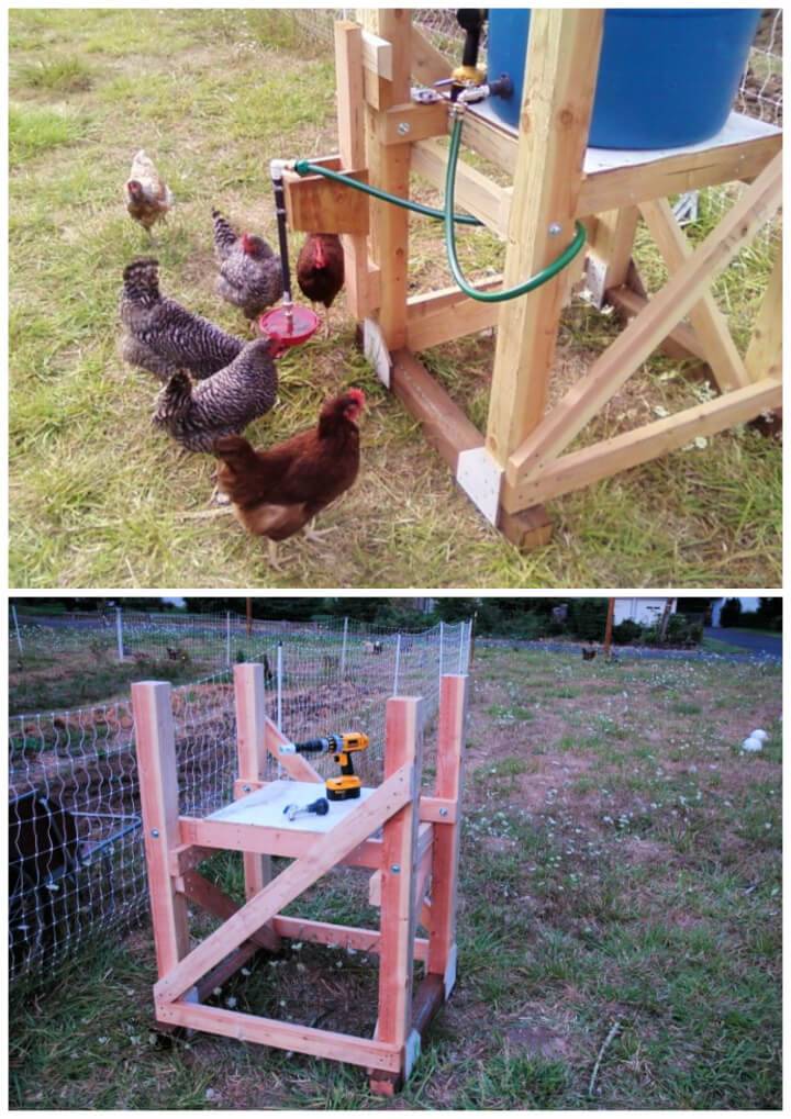 Build an Automatic Chicken Waterer