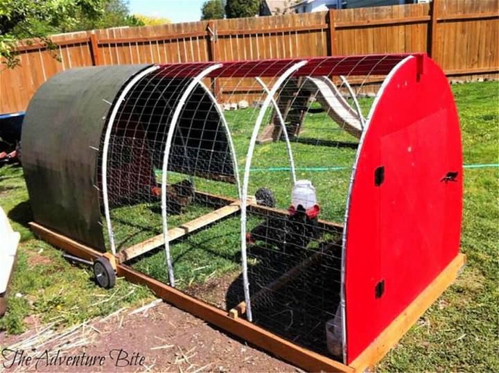 Chicken Tractor for Small Backyard