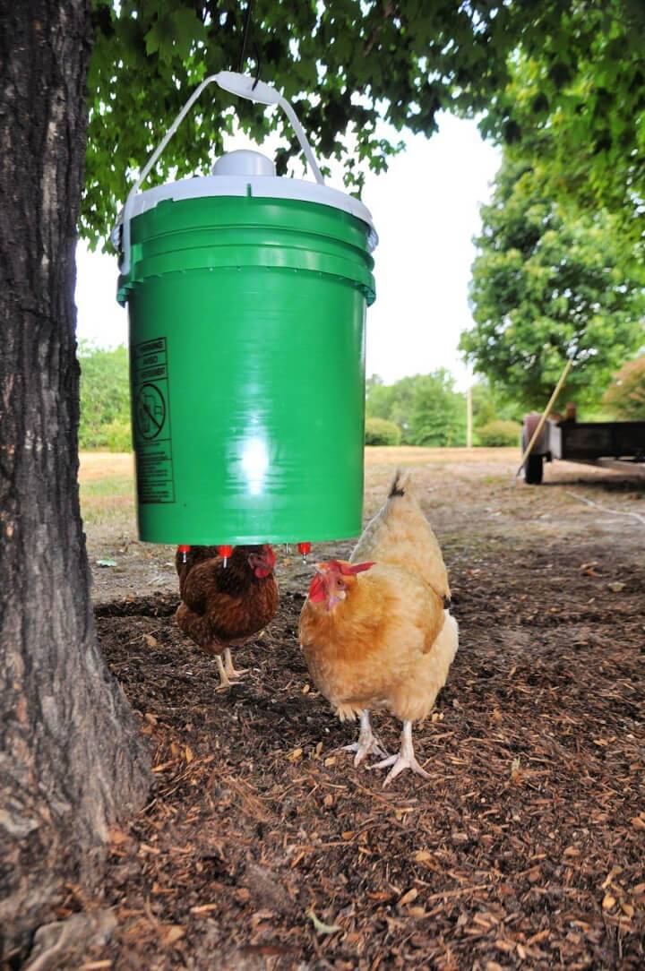 DIY 12 Chicken Waterer