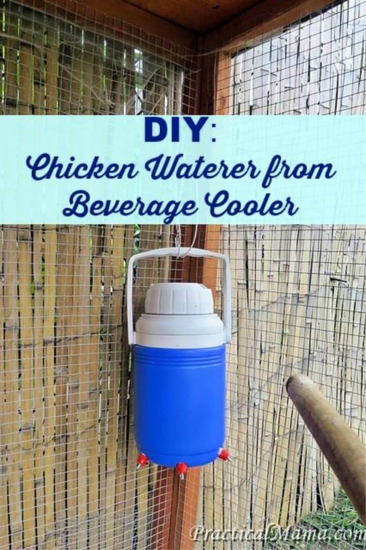 DIY Chicken Waterer from Beverage Cooler