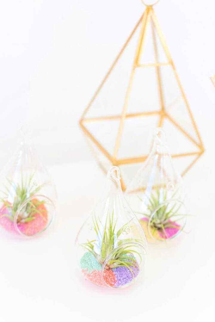 DIY Colored Sand Air Plants