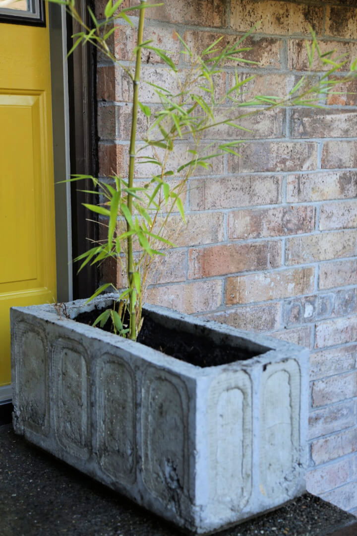 25 Cheap DIY Concrete Planters To Make Your Own