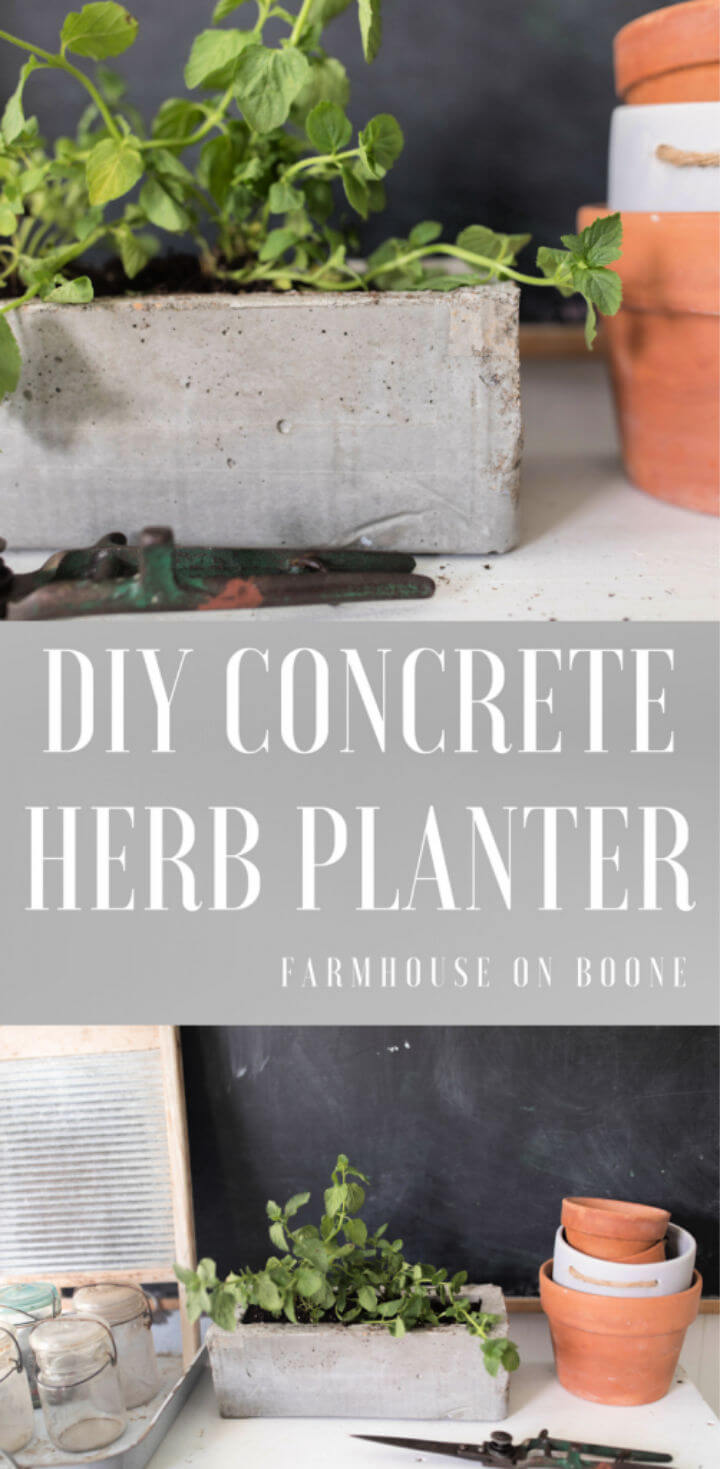 DIY Concrete Planter With Cardboard Forms