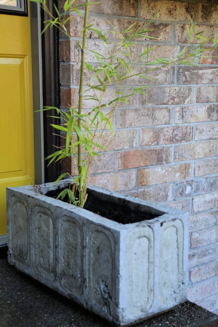 DIY Concrete Planter – It’s Easier Than It Looks