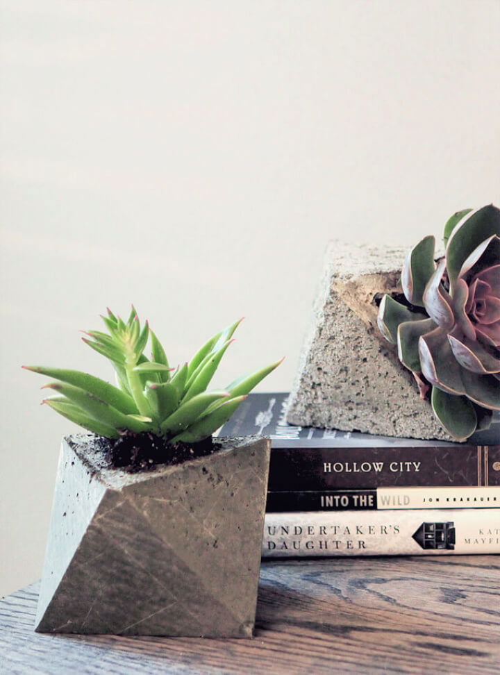 DIY Concrete Planters to Display