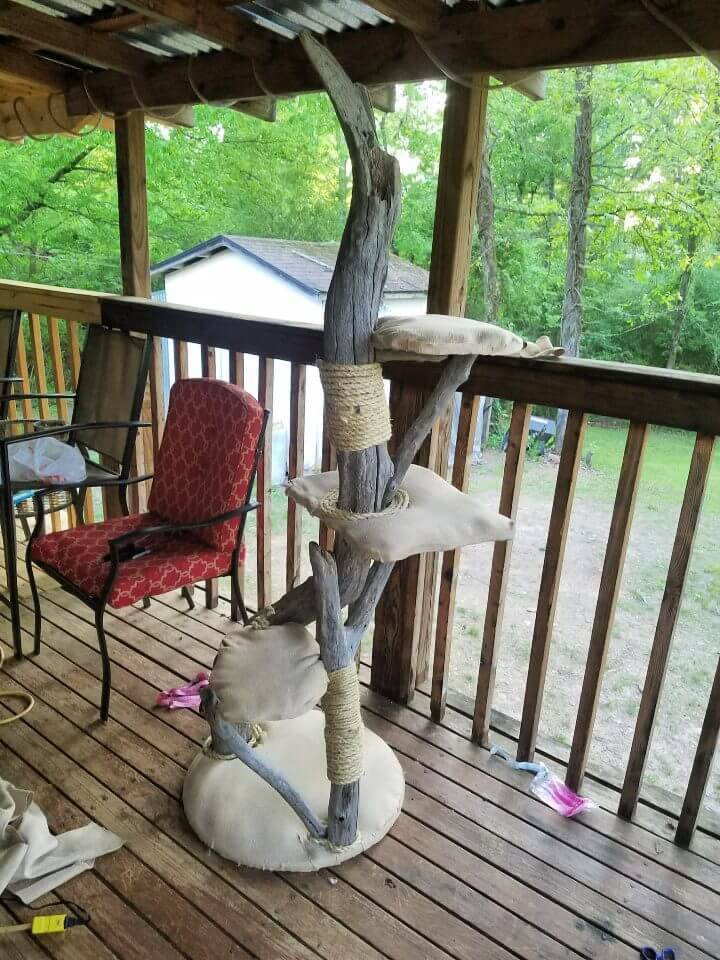 Easy DIY Driftwood Cat Tree 