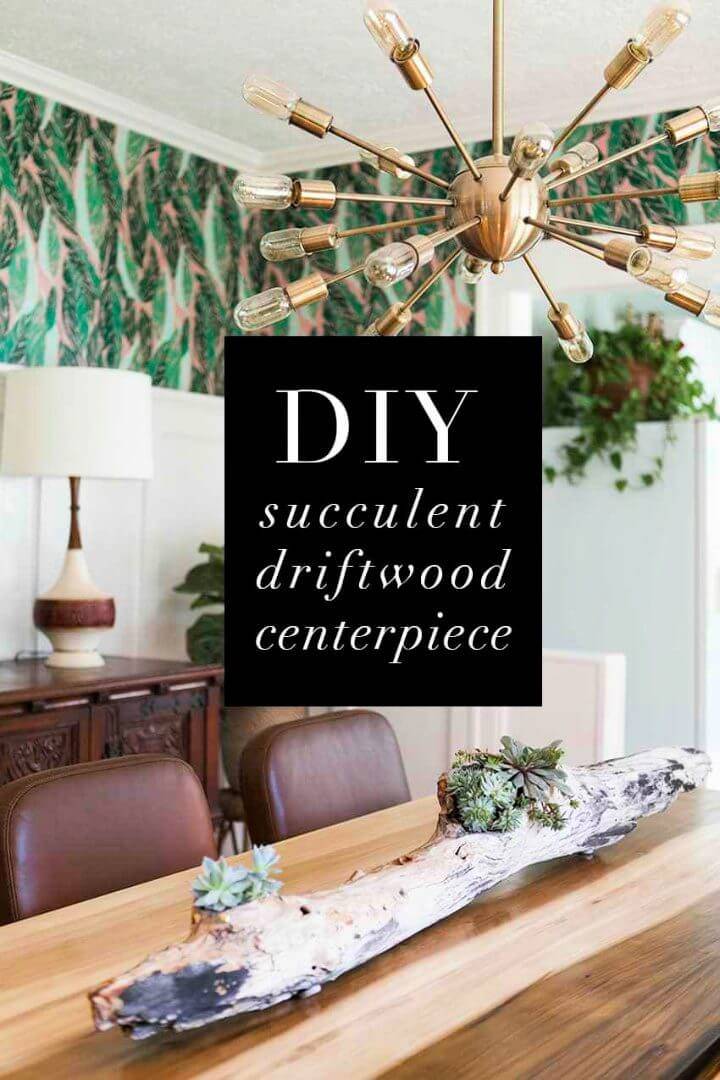 DIY Driftwood Succulent Centerpiece