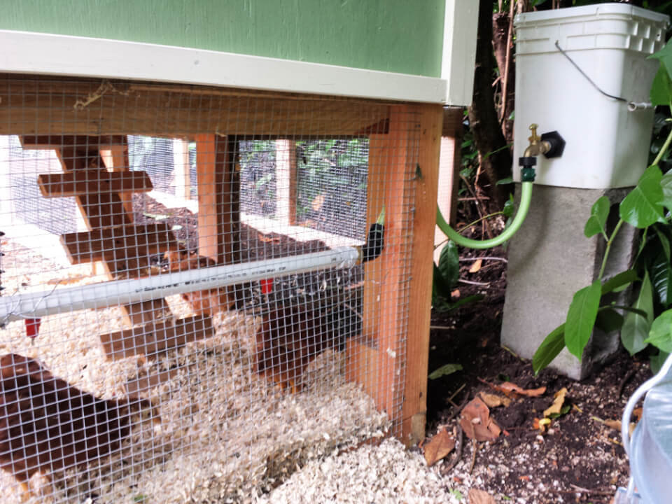 DIY Gravity Fed Chicken Waterer