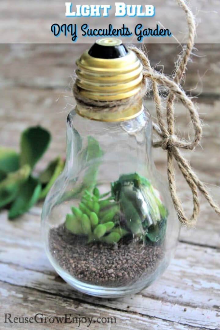 DIY Light Bulb Succulents Garden