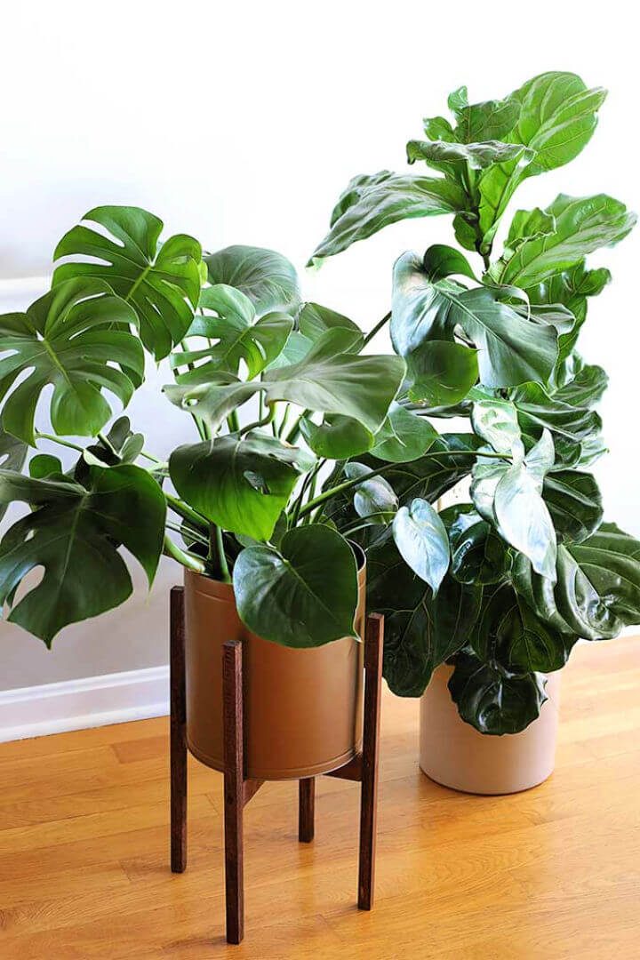 DIY Mid Century Plant Stand at Home