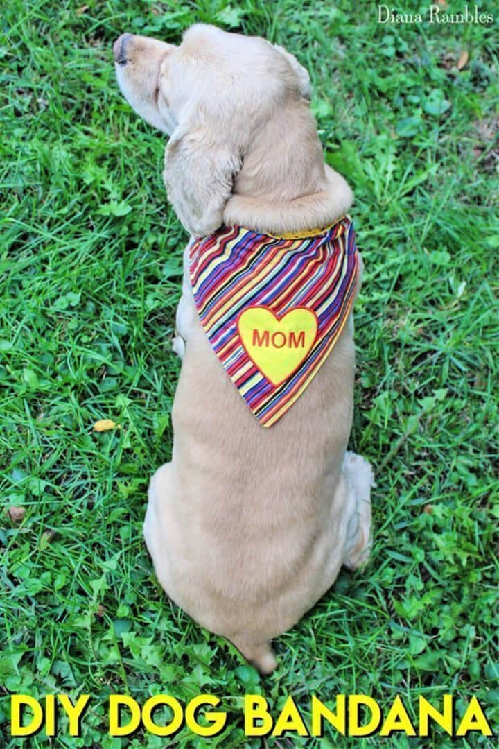 Make a Personalized Dog Bandana