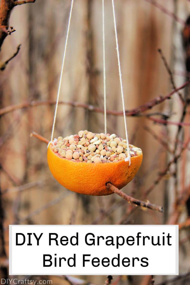 DIY Red Grapefruit Bird Feeders