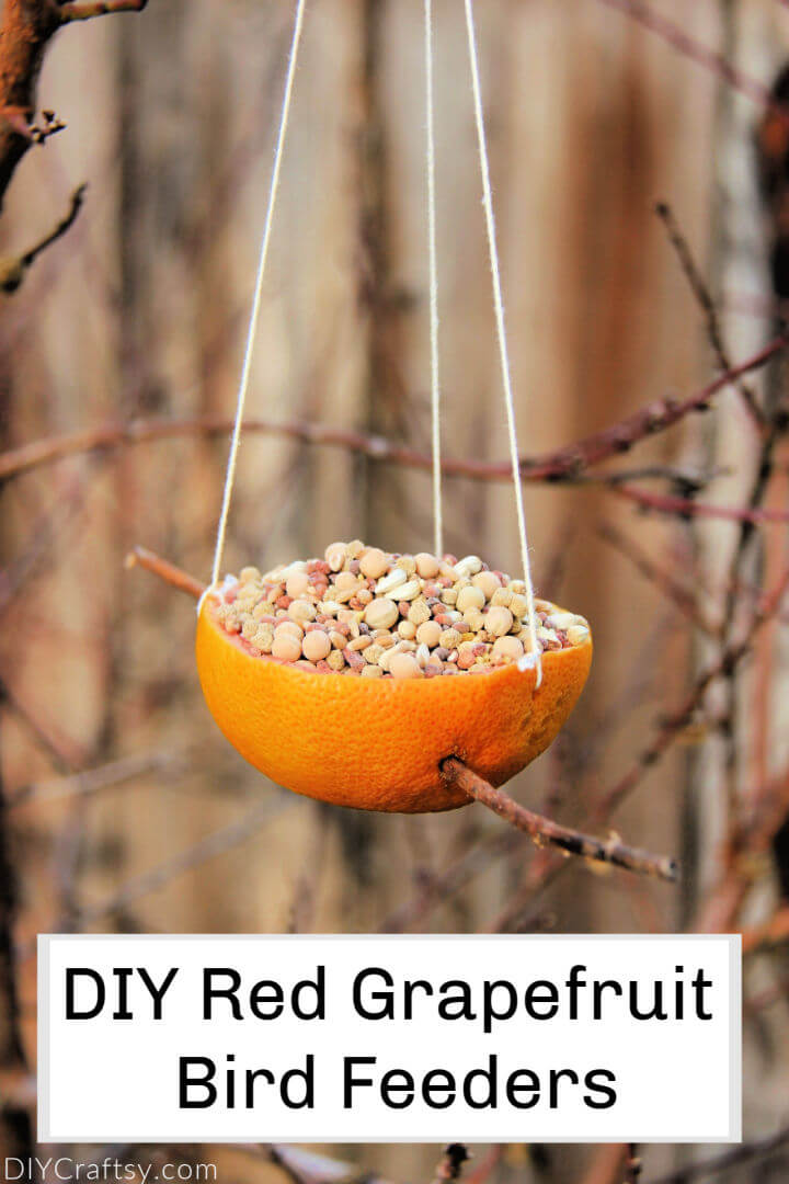 grapefruit bird feeder