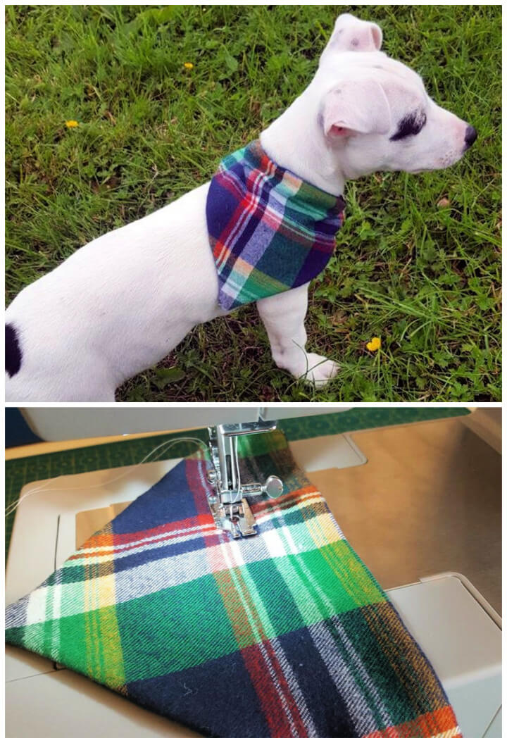 Slip Over the Collar Reversible Pet Bandana : 9 Steps (with Pictures) -  Instructables