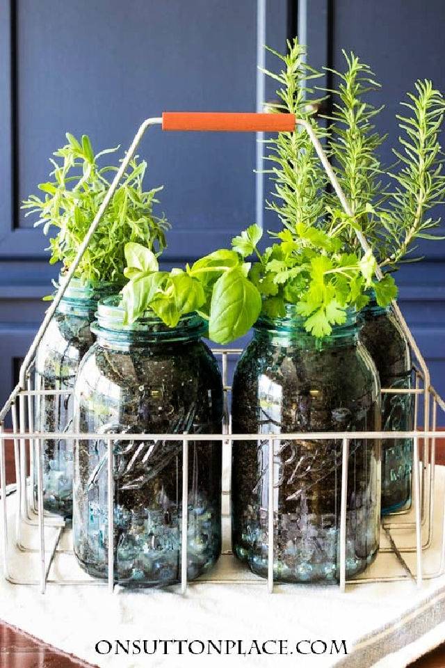 Easy DIY Indoor Mason Jar Herb Garden