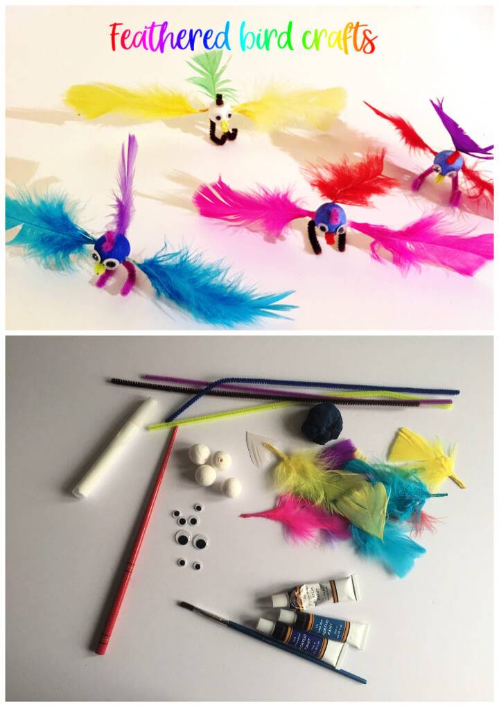Feathered Bird Crafts for Kids