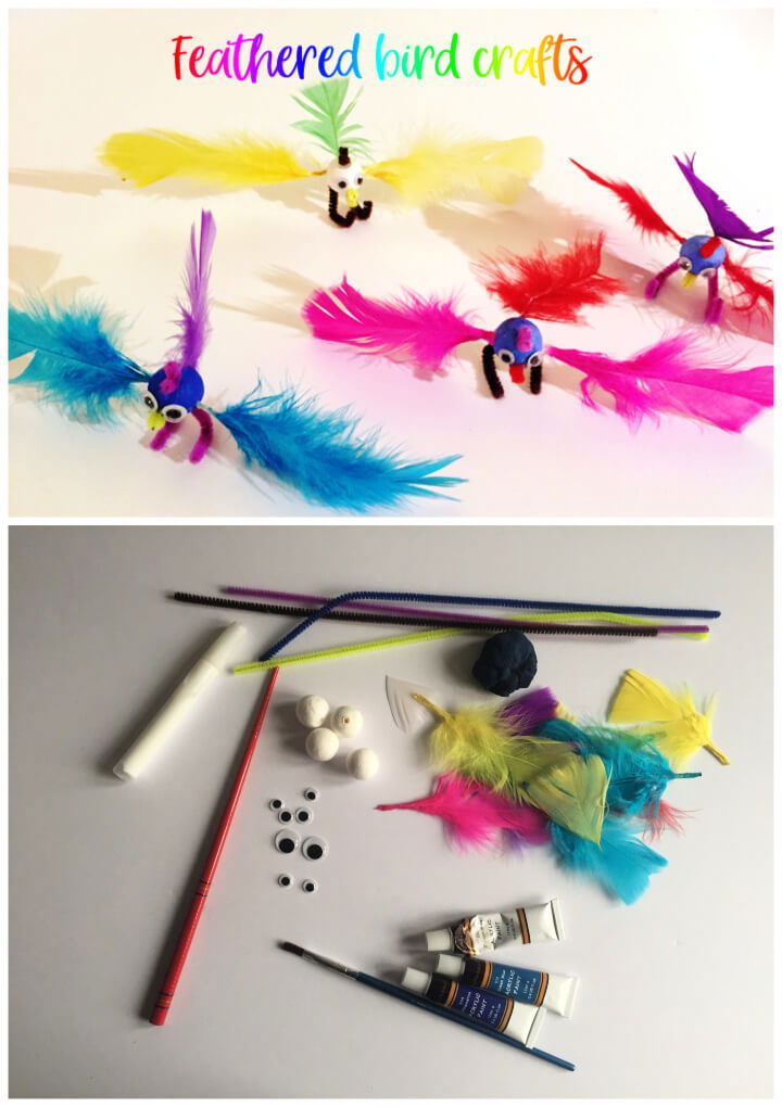 Feathered Bird Crafts for Kids