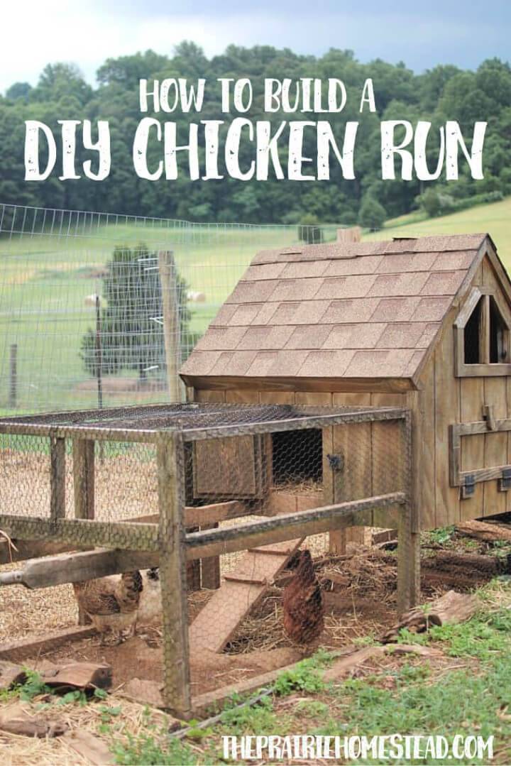 How to Build a Chicken Run