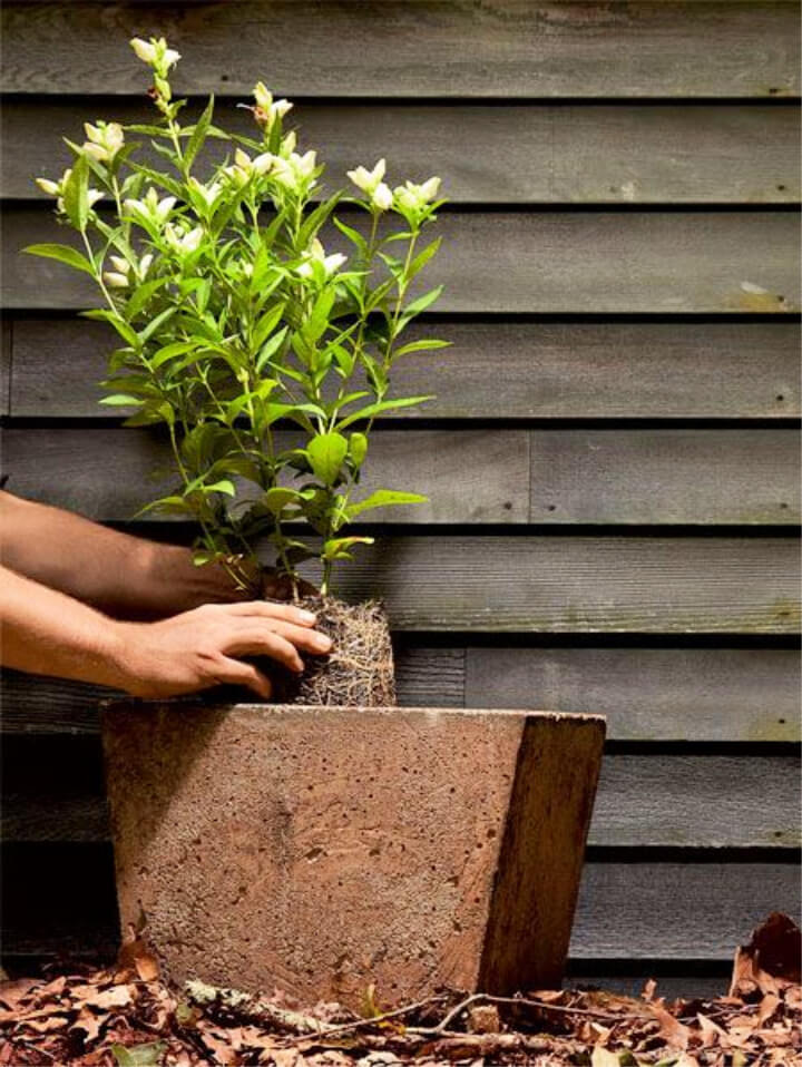 How to Build a Rock Solid Concrete Planter