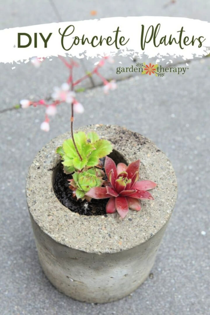 How to Make Concrete Planters