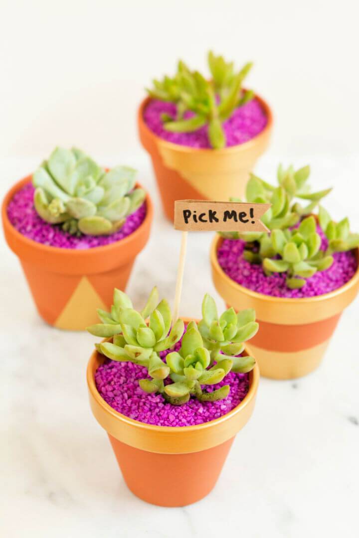 How to Make Mini Planter Party Favors