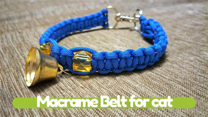 Macrame Belt for Cat