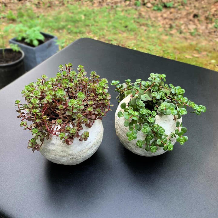 Make 2 Cement Balloon Planters