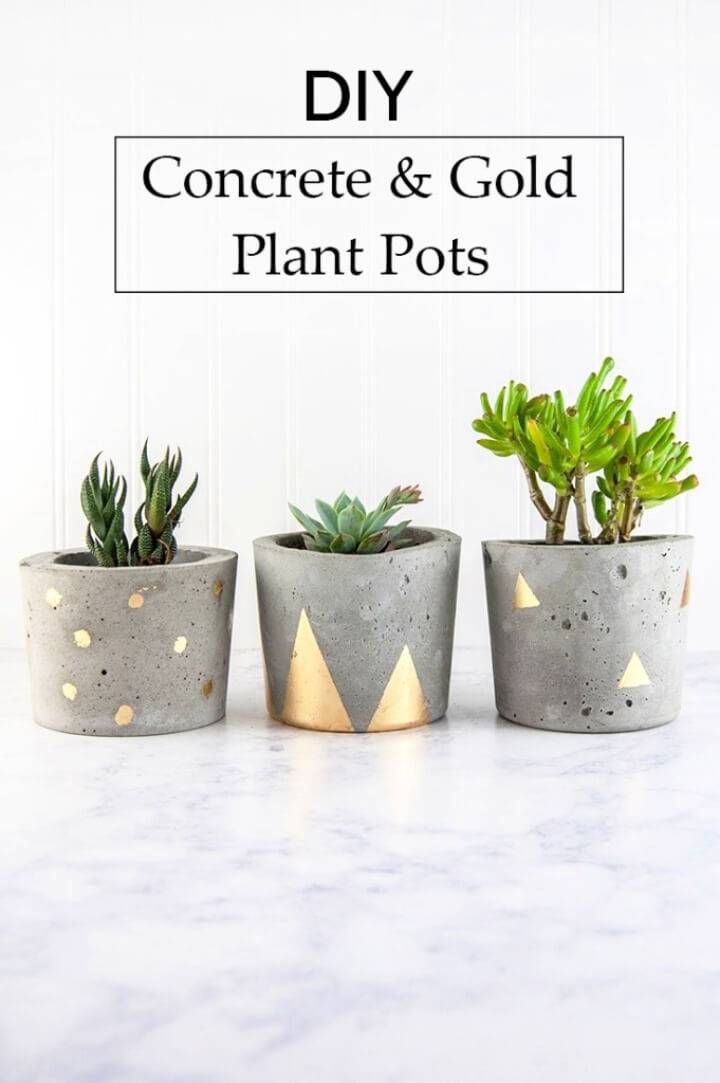 Make Concrete and Gold Plant Pots