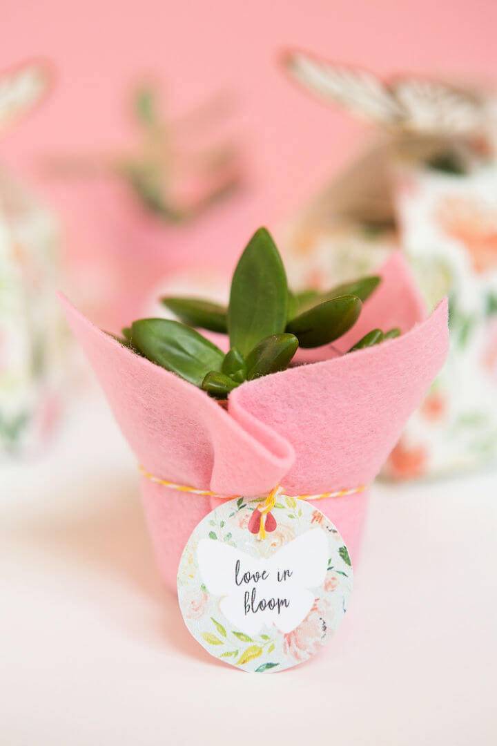 Make Succulent Wedding Favors With Kate Aspen