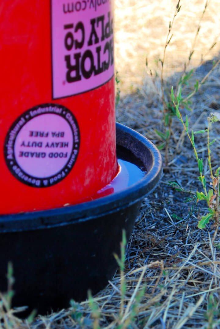 Make Your Own Chicken Waterer