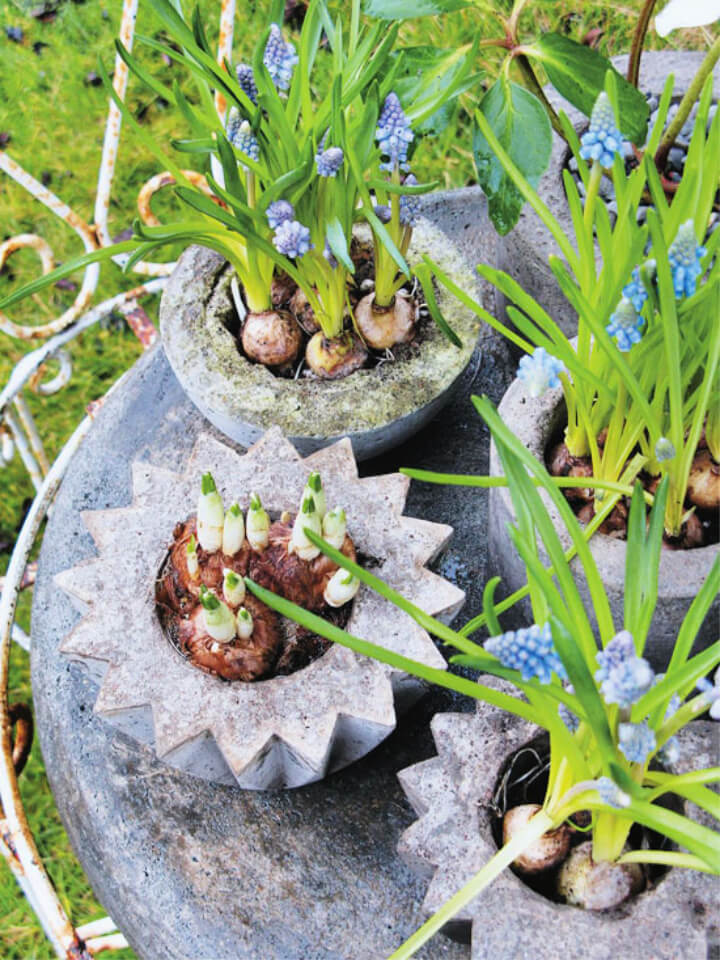 Make Your Own Concrete Planters