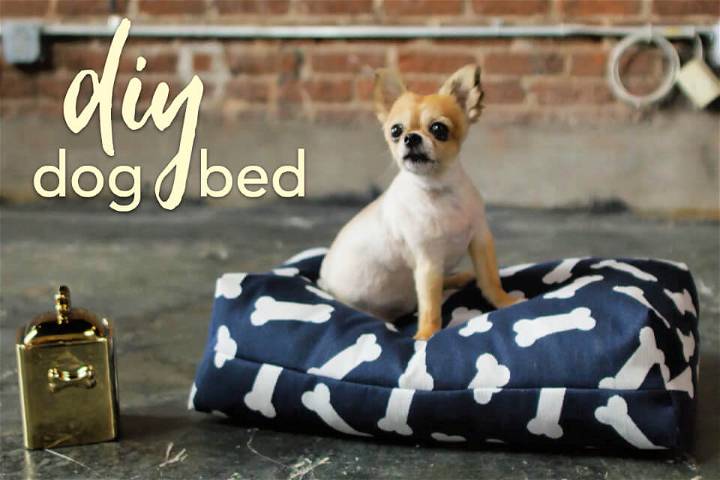 Quick and Easy DIY Dog Bed