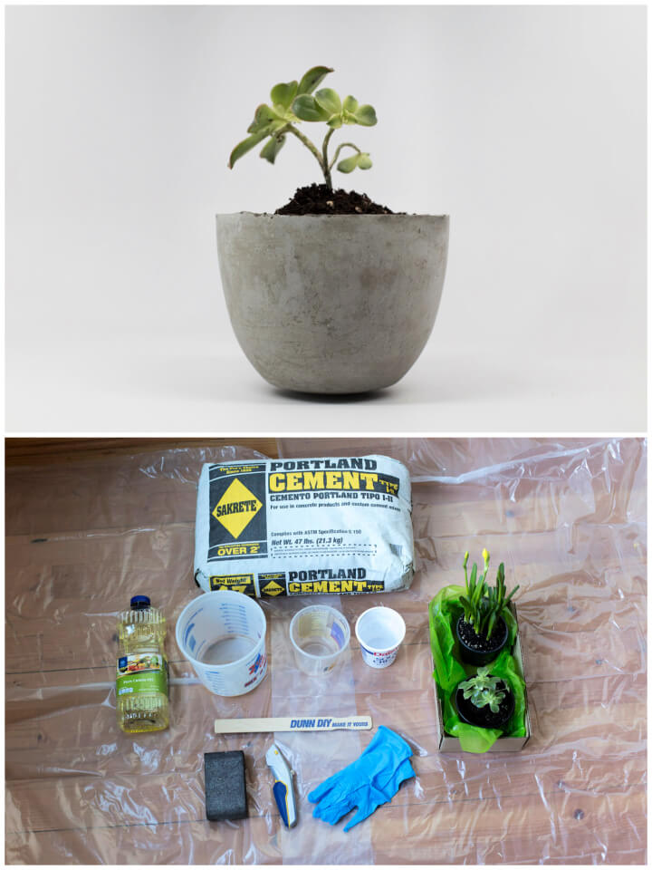 Quite Versatile and Easy Cement Planters