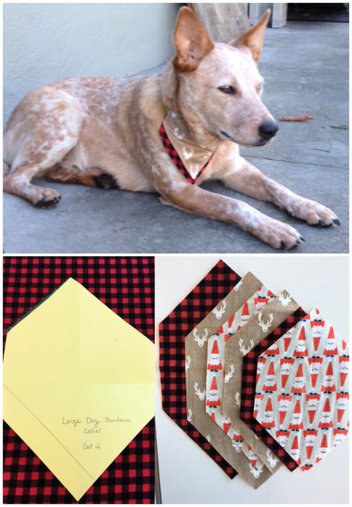 Tie on Dog Bandana Sewing Pattern: Create a Stylish Accessory in ...