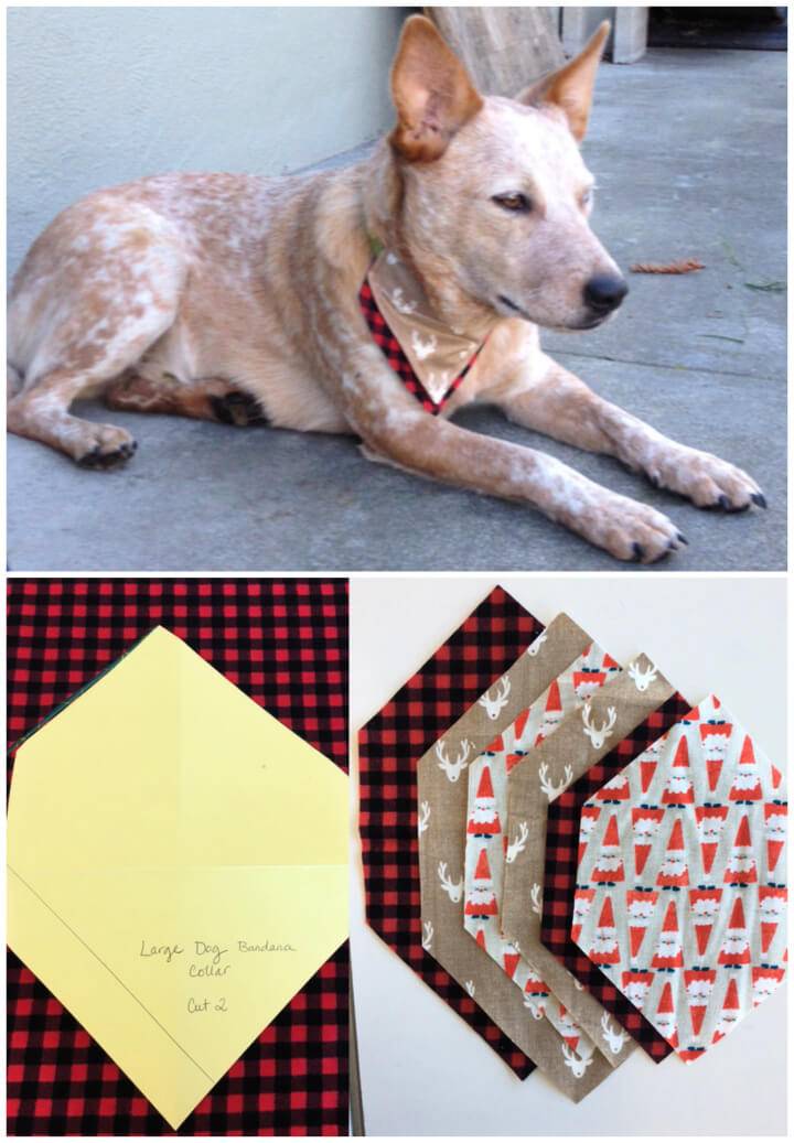 17 Free Dog Bandana Pattern Printable Sewing Template 