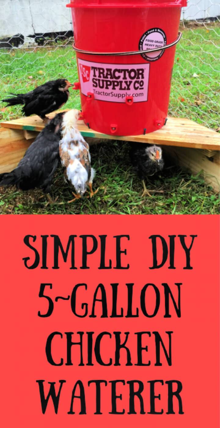 Simple DIY 5 gallon Chicken Waterer