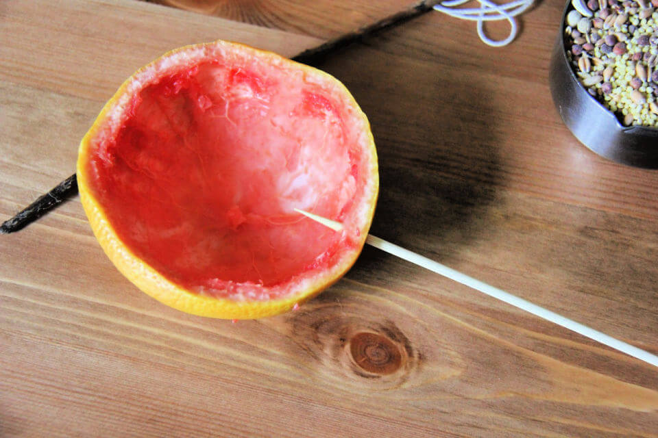 Step 1 DIY Red Grapefruit Bird Feeder