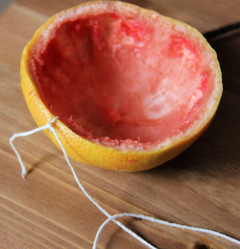 Thread Red Grapefruit Bird Feeders